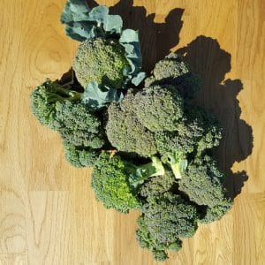 Chou brocoli