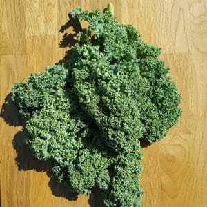 Chou kale