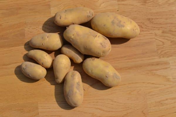 Pommes de terre scaled