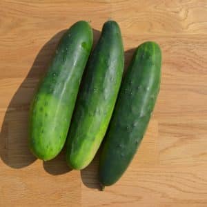 Concombres scaled