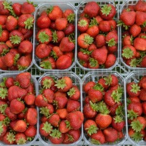 Fraises