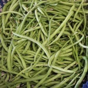 Haricots