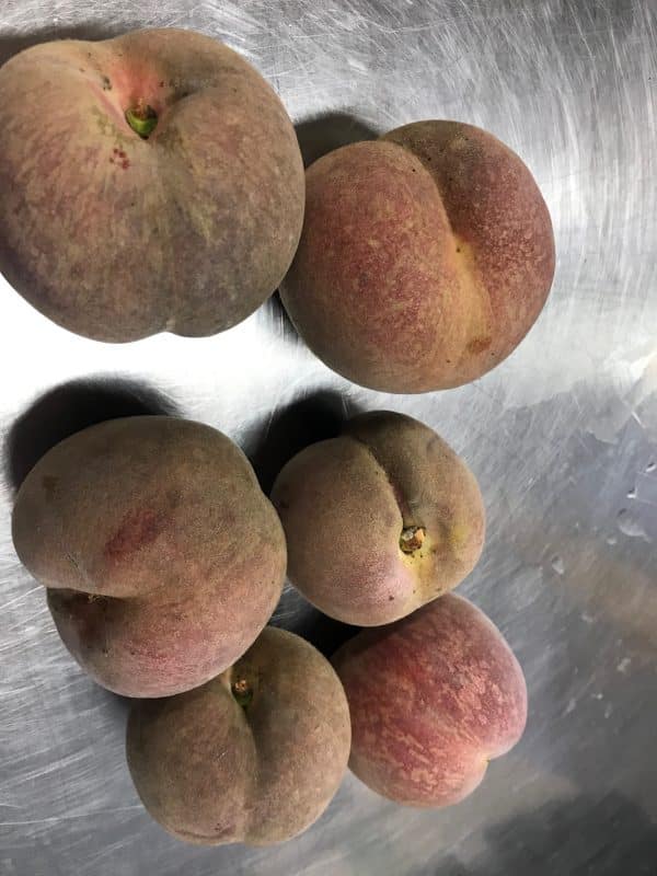 Pechedevigne rotated