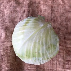 choublanc rotated