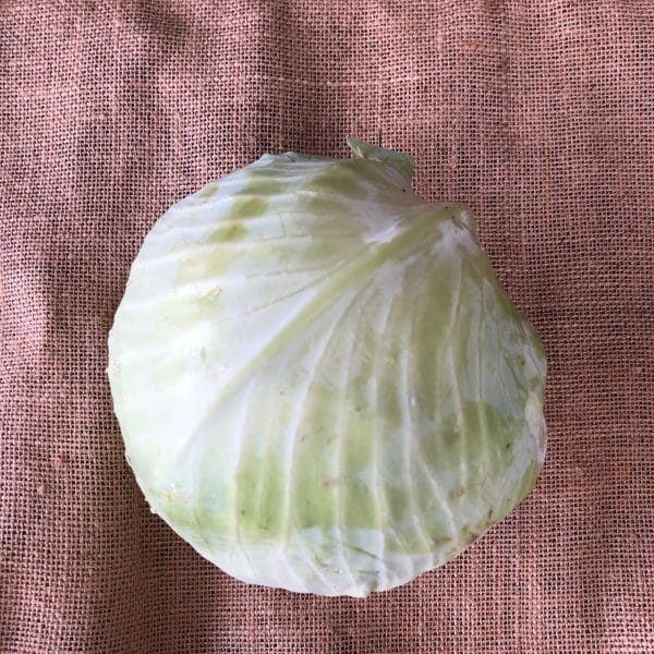choublanc rotated