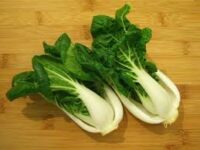 Chou Pak choi.jpeg